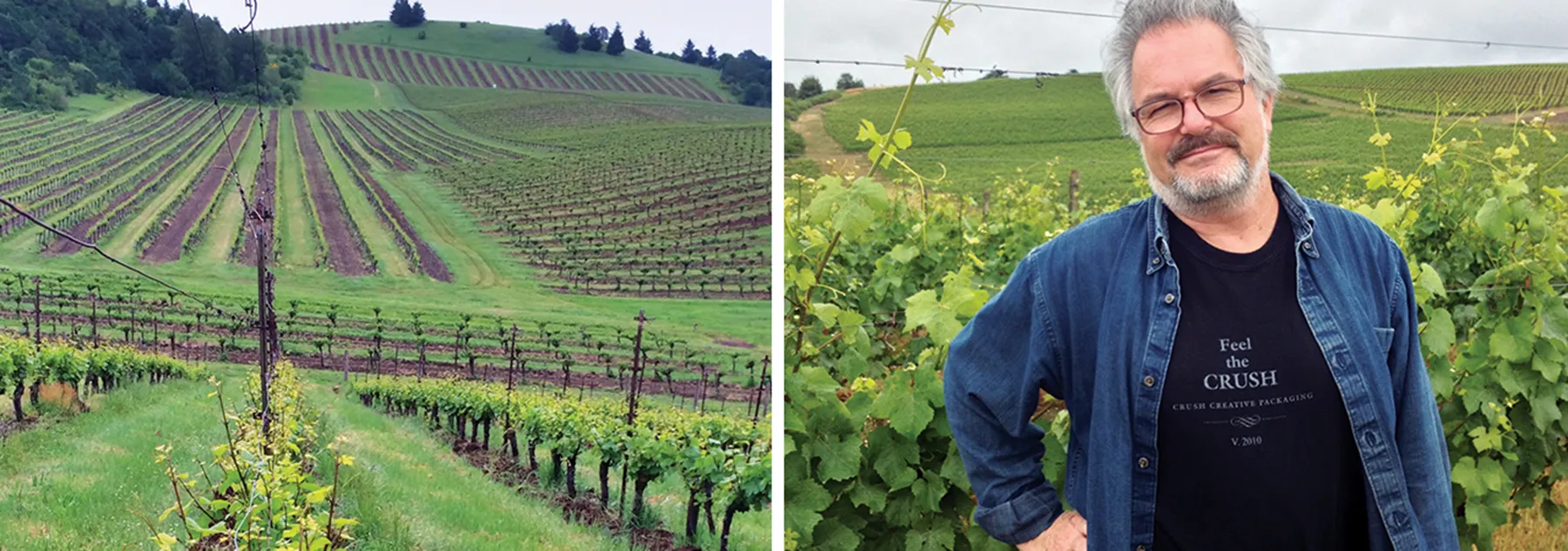 EW_Vineyard_TemperanceHill Temperance Hill Vineyard