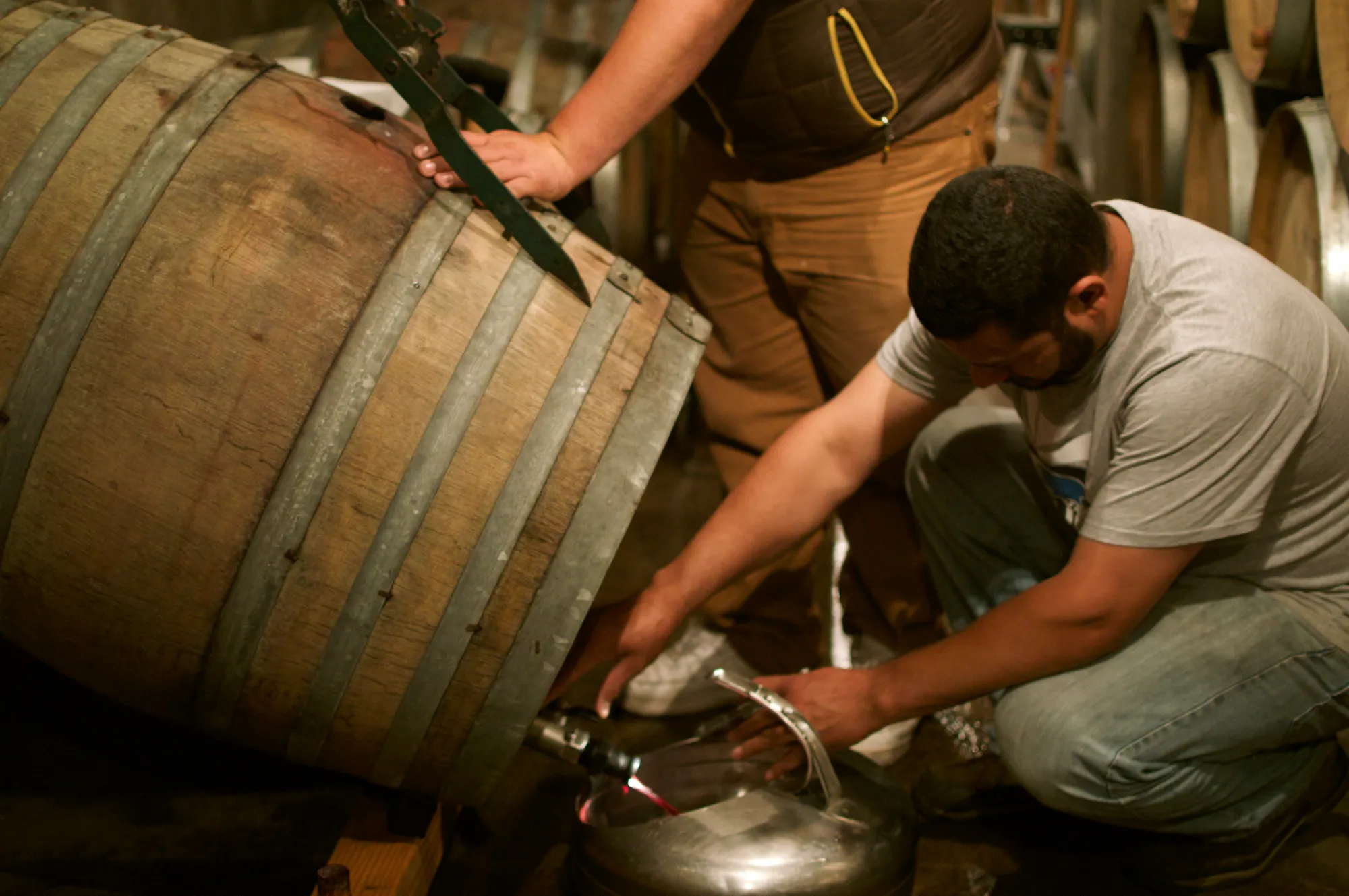 Racking wine from barrel at Evesham Wood