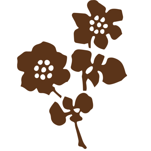 cropped-HFEW-LOCKUP@600x.png Evesham Wood flowers favicon