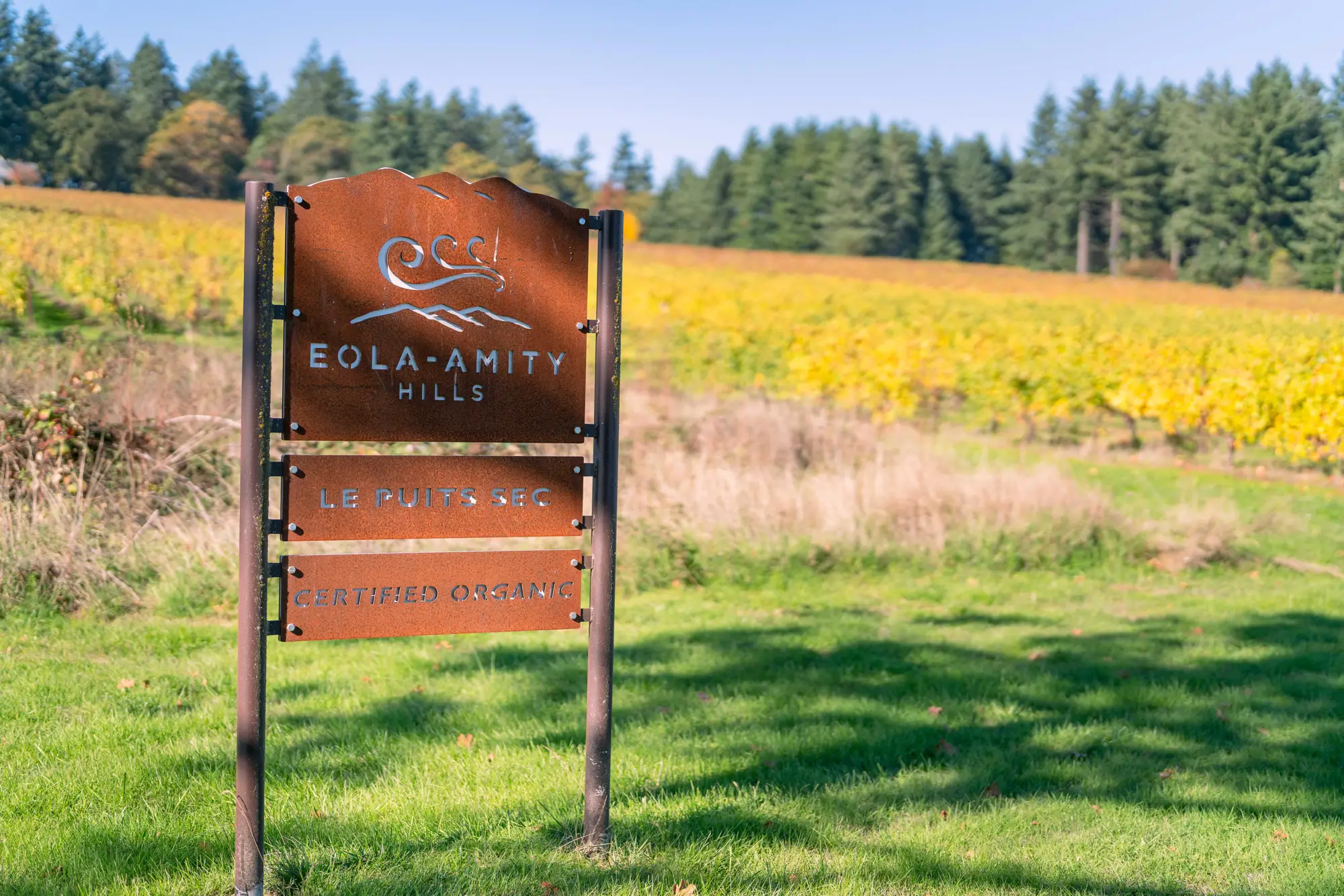 EveshamWood2024-5 Le Puits Sec Vineyard sign